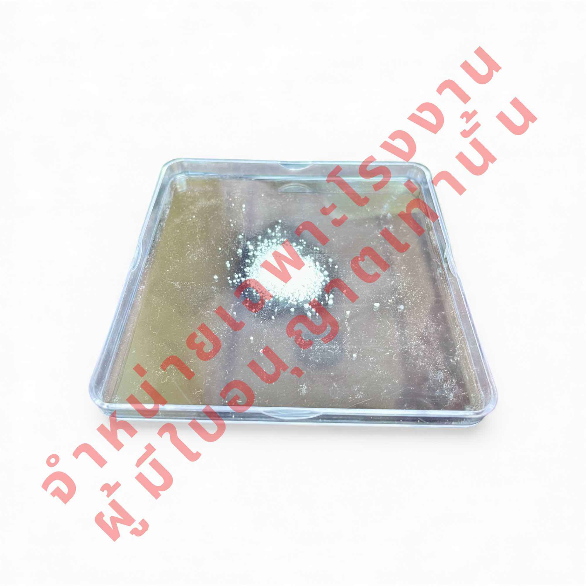 ไซยาไนด์ หาซื้อได้ที่ไหน สำหรับโรงงานที่มีเอกสารครบ